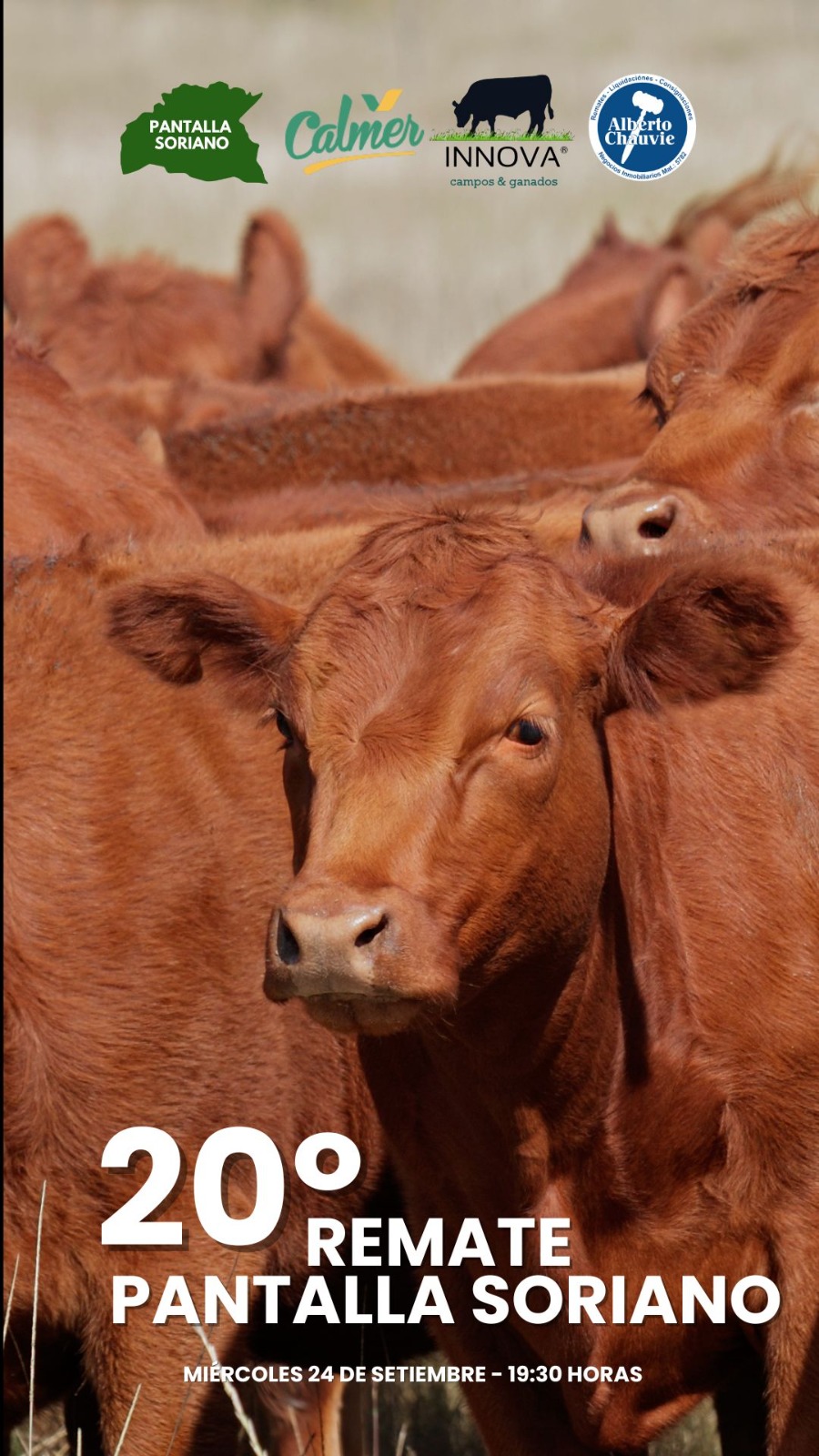 20º Remate - Pantalla Soriano